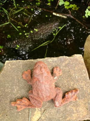 Untitled Document [www.elwing.de]